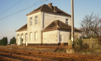 HALEWIJN  DIA 83-13131.jpg